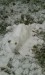 sochy ze sněhu - kočička 2